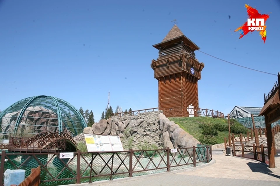 Смотровая площадка открылась на башне в Ижевском зоопарке