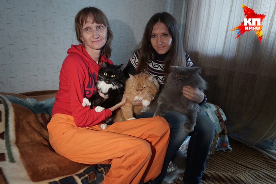 Ирина и Ольга Викторовна в окружении кошачьей братии