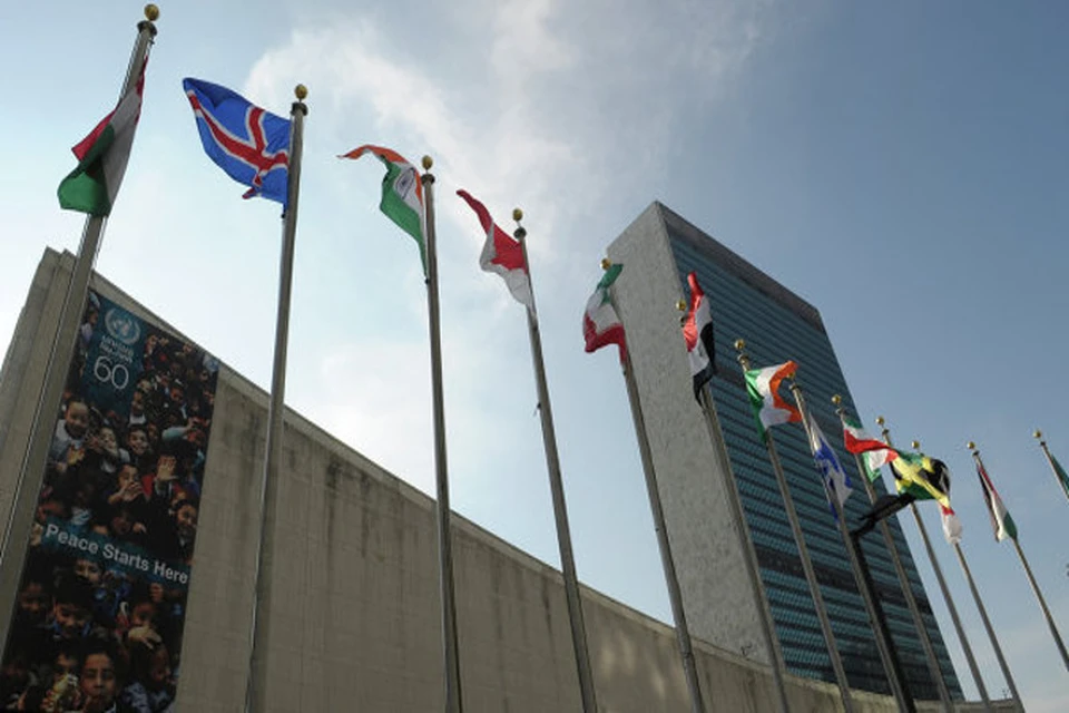 Совбез ООН примет резолюцию в связи с крушением самолета на Украине