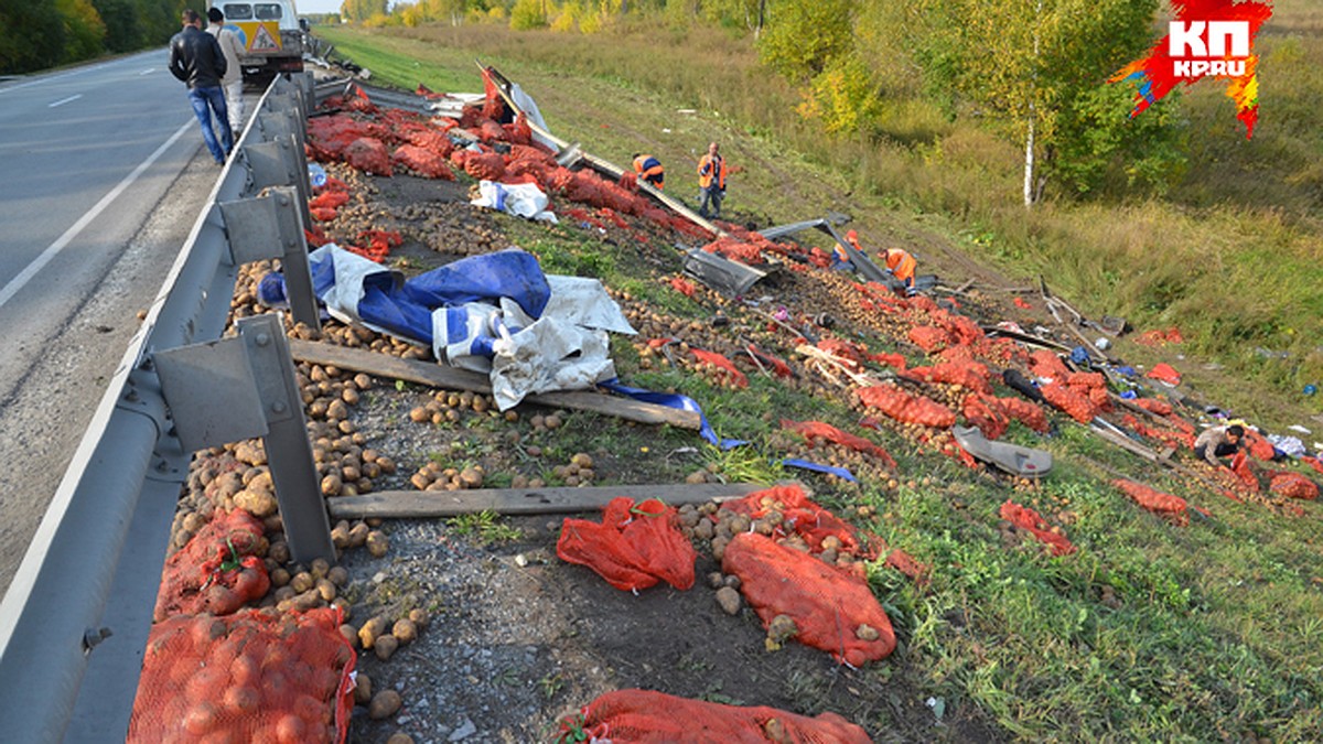 Пассажиров иномарки под Новосибирском насмерть засыпало картофелем из  Казахстана - KP.RU