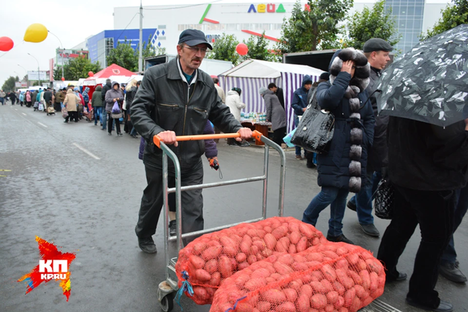 Социальная ярмарка. Мелкие поделки для социальной ярмарки. Социальная ярмарка в барнауле. Поделки для социальной ярмарки. Социальная ярмарка в новосибирске на большевистской.