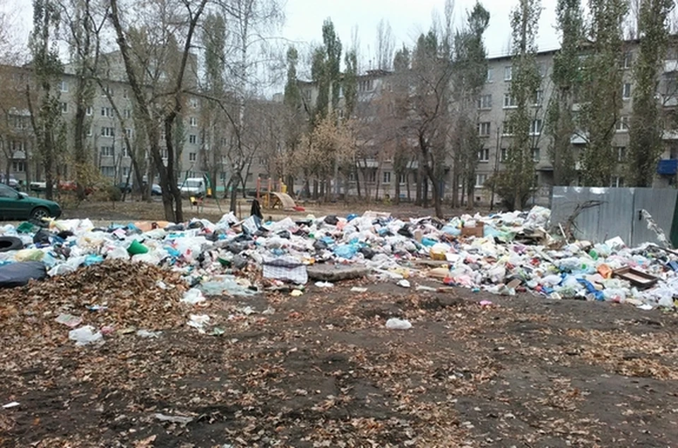 фото нашего читателя.