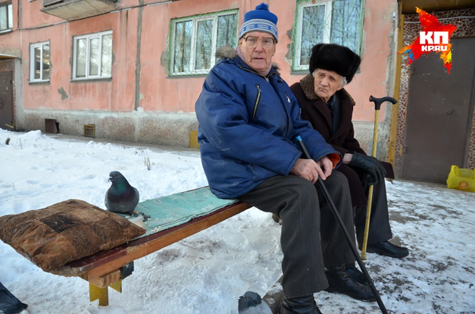 Каждый день дедушки встречаются со своим питомцем - голубем Максимкой, чтобы покормить его.