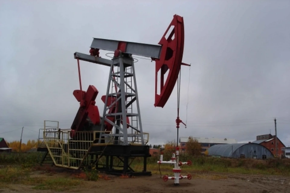 Страны ОПЕК не будут сокращать добычу нефти. Фото: Татьяна Расюк