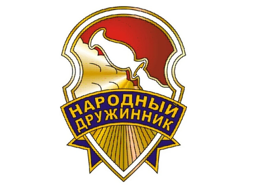 Так будет выглядеть эмблема воронежского дружинника. Фото предоставлено пресс-службой Воронежской областной Думы.
