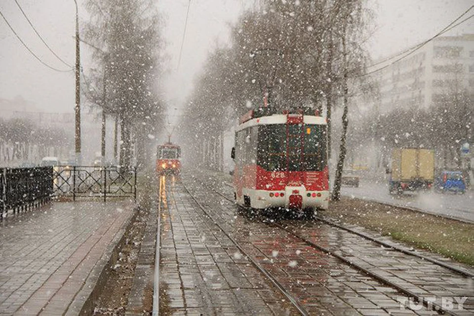 Снег в минске сегодня фото