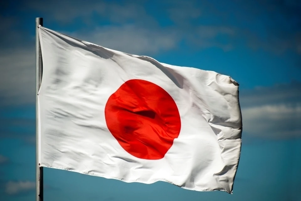 Япония не против покупать электричество на Сахалине