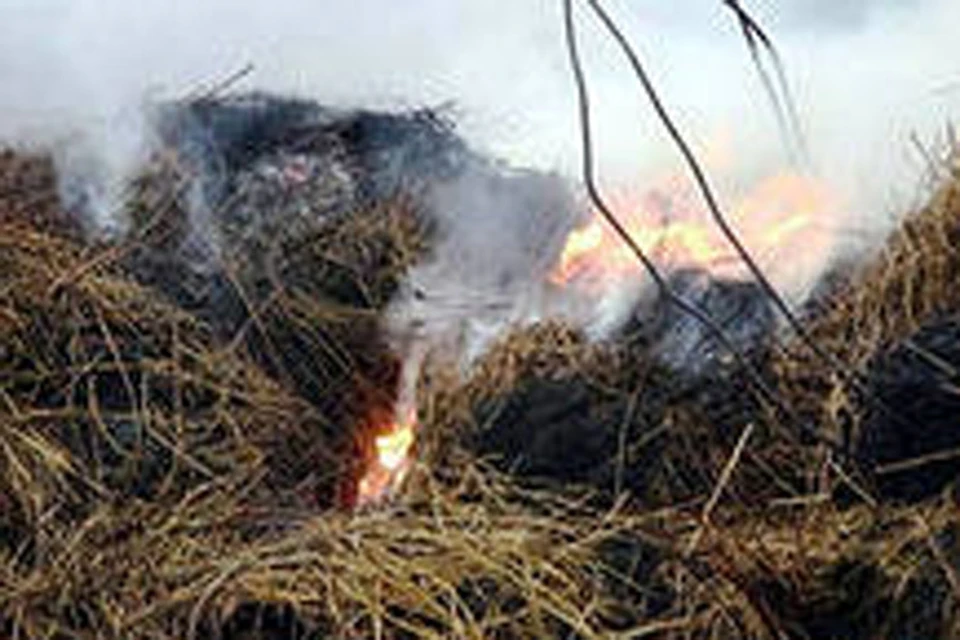 Лесные пожары из Забайкальского края добрались до Бурятии .