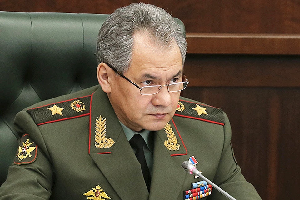 Сергей Шойгу: Российская армия становится профессиональной