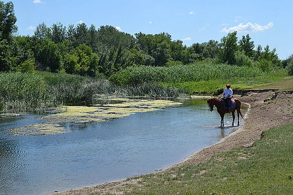 Волго ахтубинская пойма фото