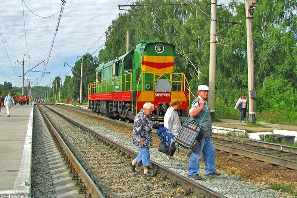 Роспотребнадзор по жд транспорту. Электричка дачники летом. Правила в поезде. Чмуха.