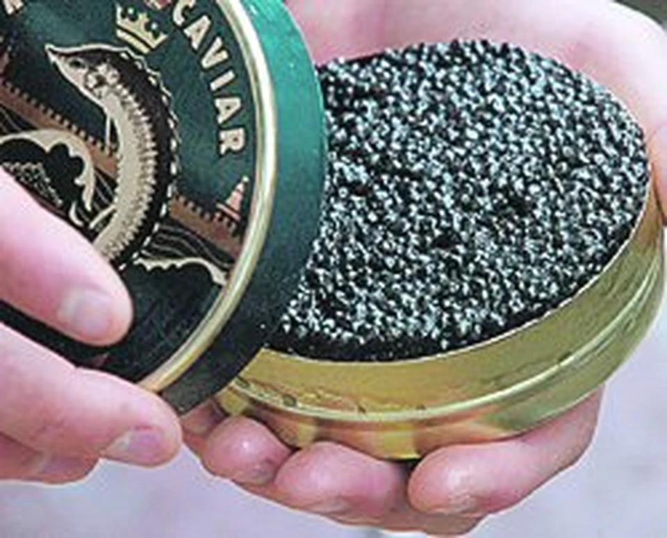 Кто дает черную икру. Огромные икры.