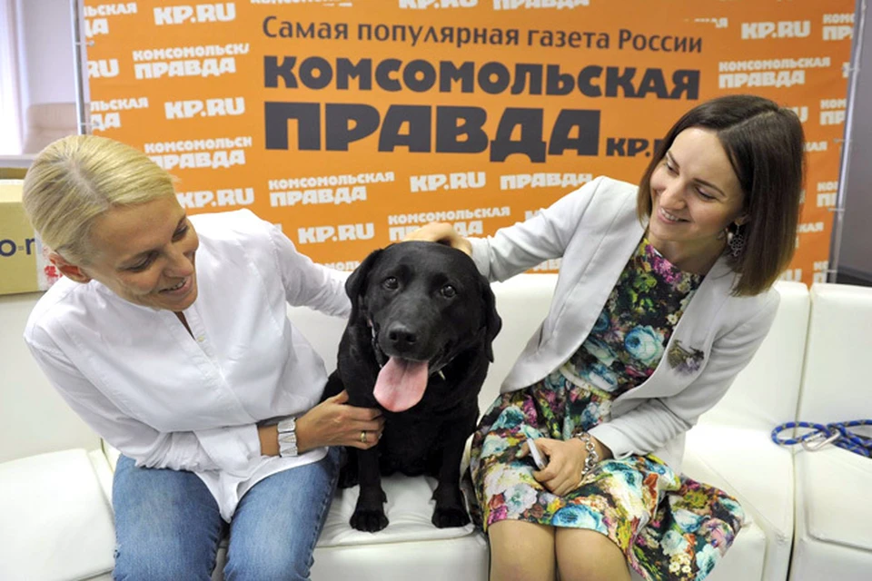 Знакомьтесь, это Николь. Удивительный, добрый, невероятно красивый и профессиональный пес в гостях у "Комсомольской правды"!