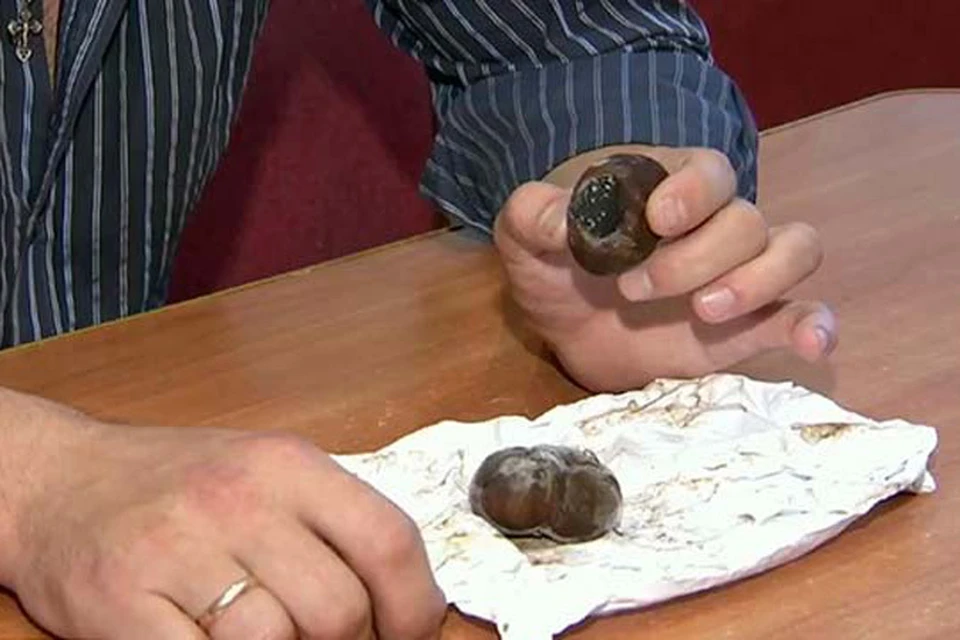 На Южном Урале найден редкий черный трюфель
