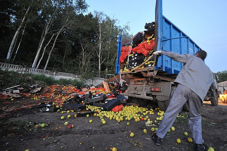 В Москве уничтожили партию санкционных овощей из Польши
