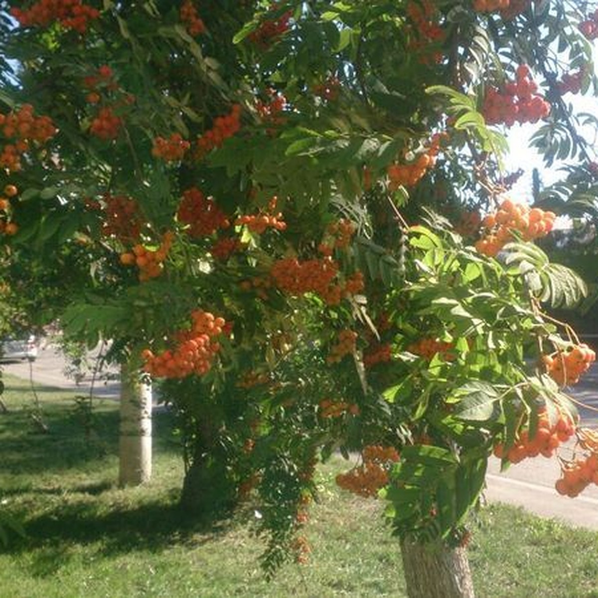 Народные приметы о погоде на весь год по месяцам