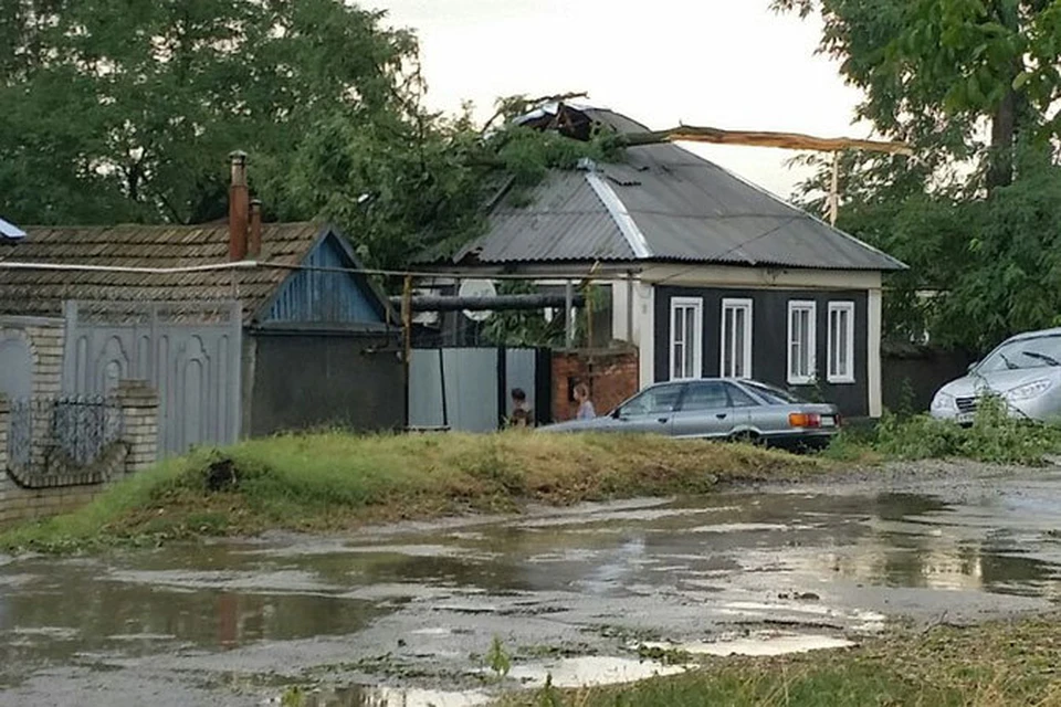 Пострадал урожай во дворах жителей.