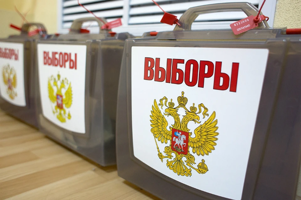 Выборы губернатора Ростовской области состоятся 13 сентября. Фото: ЦИК РФ.