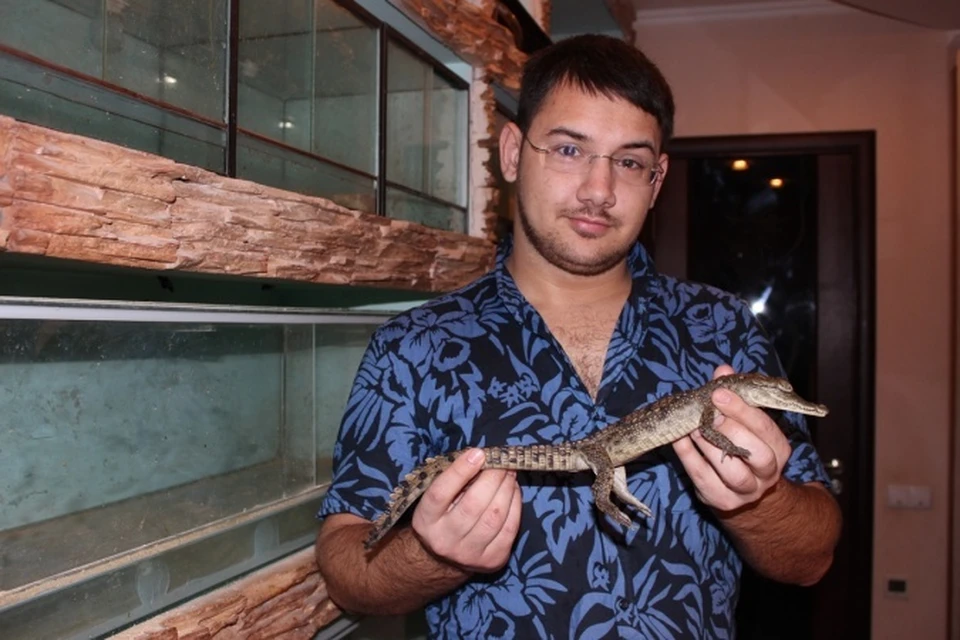 Ростовчанин начал разводить крокодилов в собственной квартире. Фото: областная станция по борьбе с болезнями животных