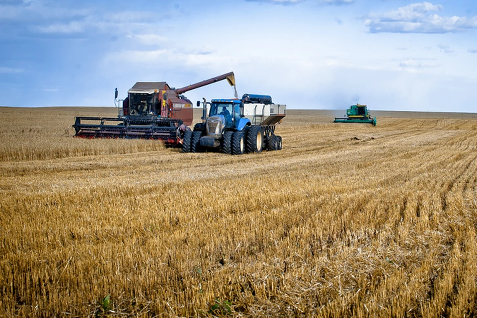 Южноуральские хлеборобы в этом году намолотили 1 млн 770 тыс. тонн зерна. Фото: Вячеслав ШИШКОЕДОВ.