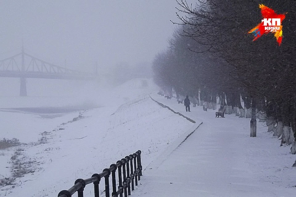 Тверь завьюжило