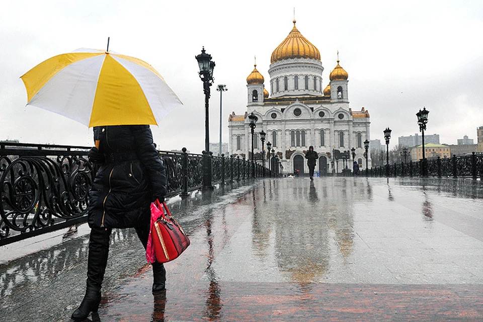 Середина февраля в Москве выдалась... дождливой.