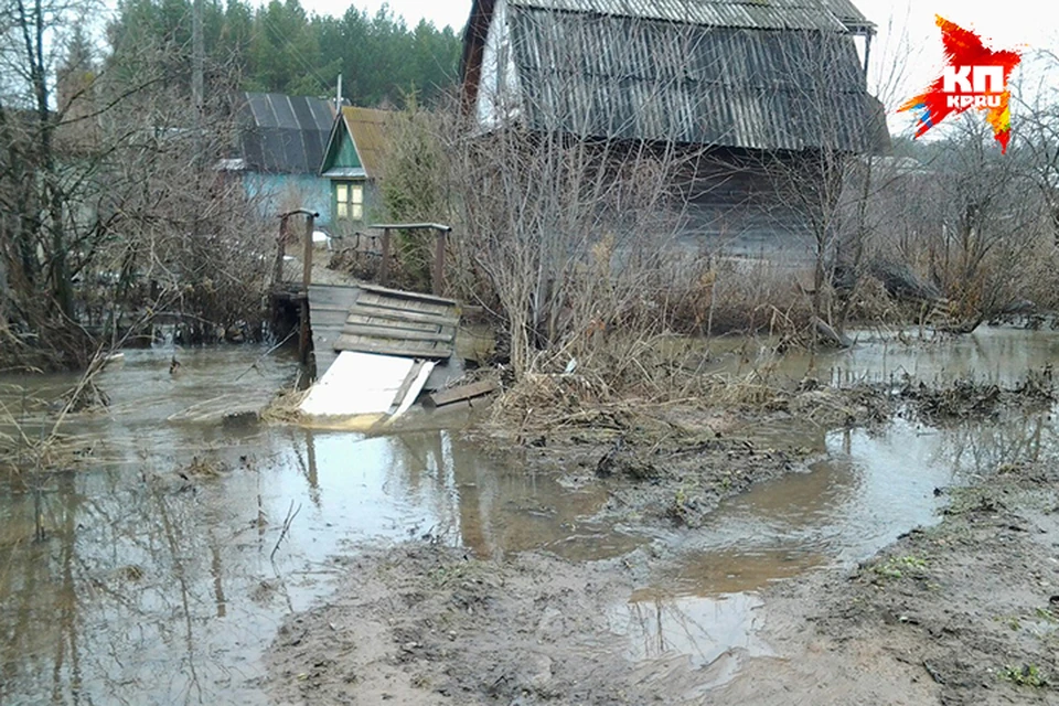 Фото: Светлана Бибикова