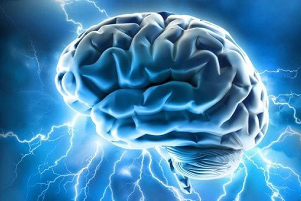 Исследователи намерены восстановить функции мозга умерших людей с помощью целого спектра инструментов