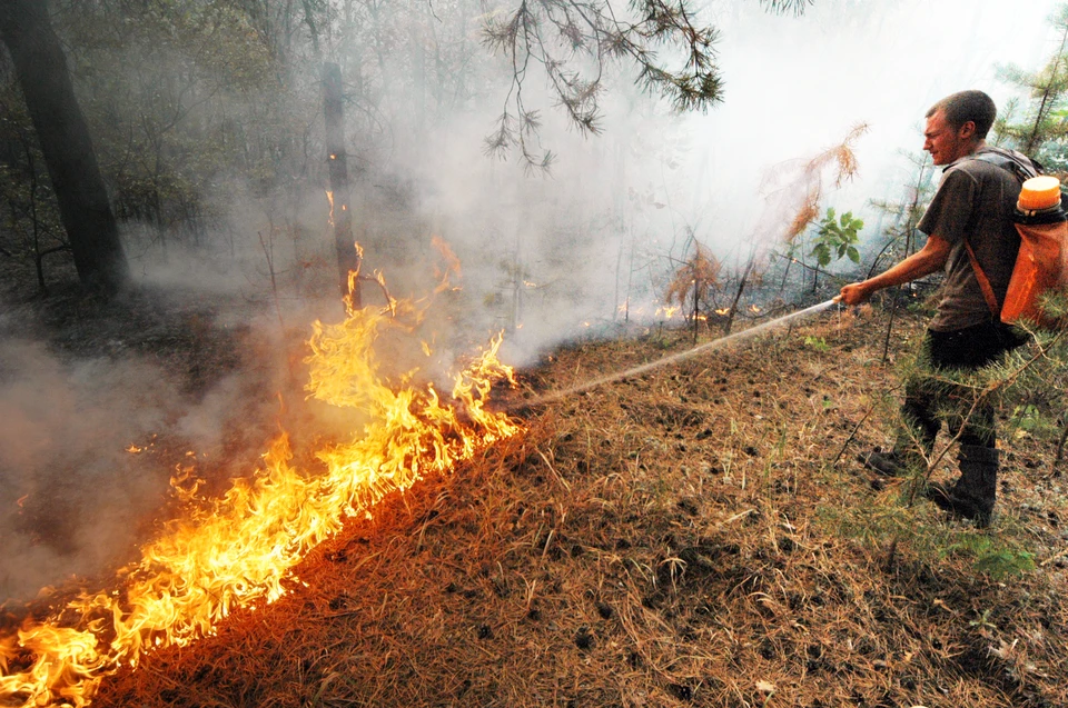 Сейчас в ярославских лесах огонь может вспыхнуть от одной спички.