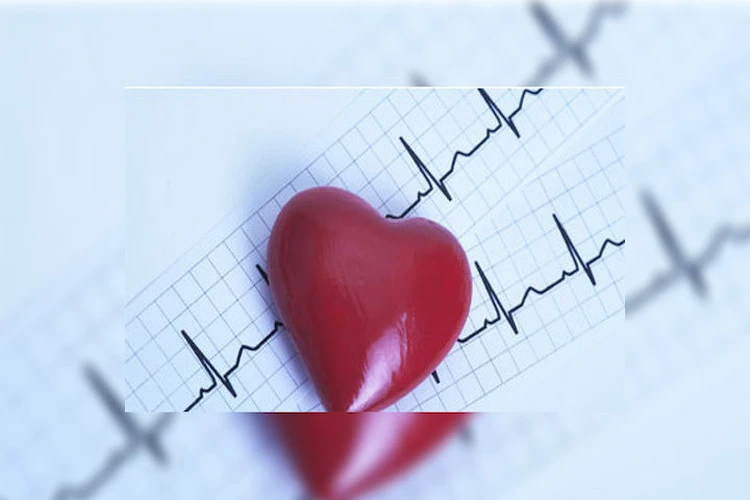 15 интересных фактов о нашей сердечно-сосудистой системе