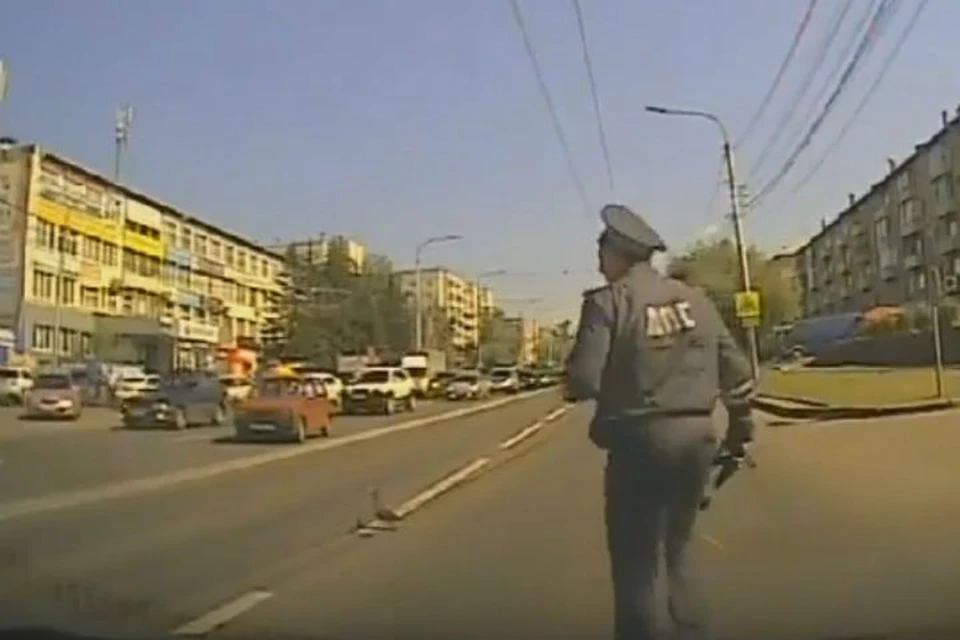 «Дядя Степа» из Красноярска перекрыл магистраль, чтобы спасти утку с утенком. Фото: стоп-кадр пресс-служба ГИБДД.