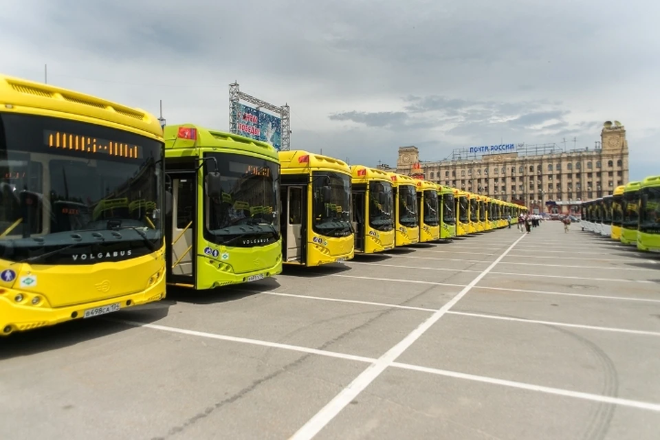 Сегодня в Волгоград поступило уже 80 новых автобусов Volgabus. Фото «Volgabus».