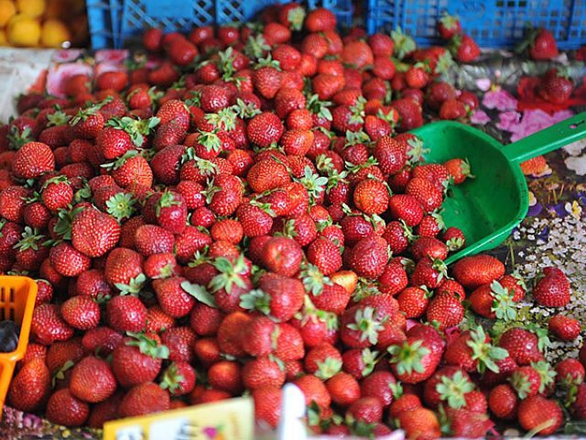 Как ухаживать за клубникой, чтобы на следующий год был богатый урожай -  KP.RU