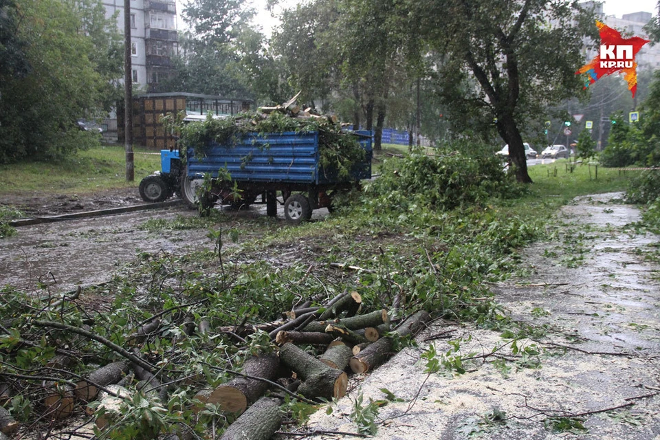 На улице Ковалихинской ликвидируют последствия шторма.