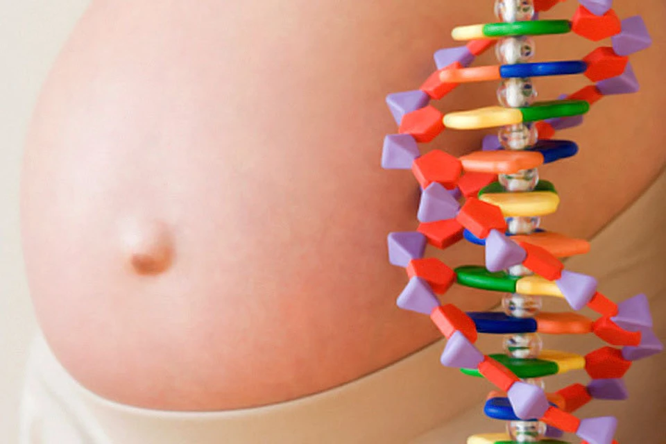 В процессе ЭКО проводят генетическую диагностику эмбриона, в результате которой можно выявить возможные генетические заболевания.