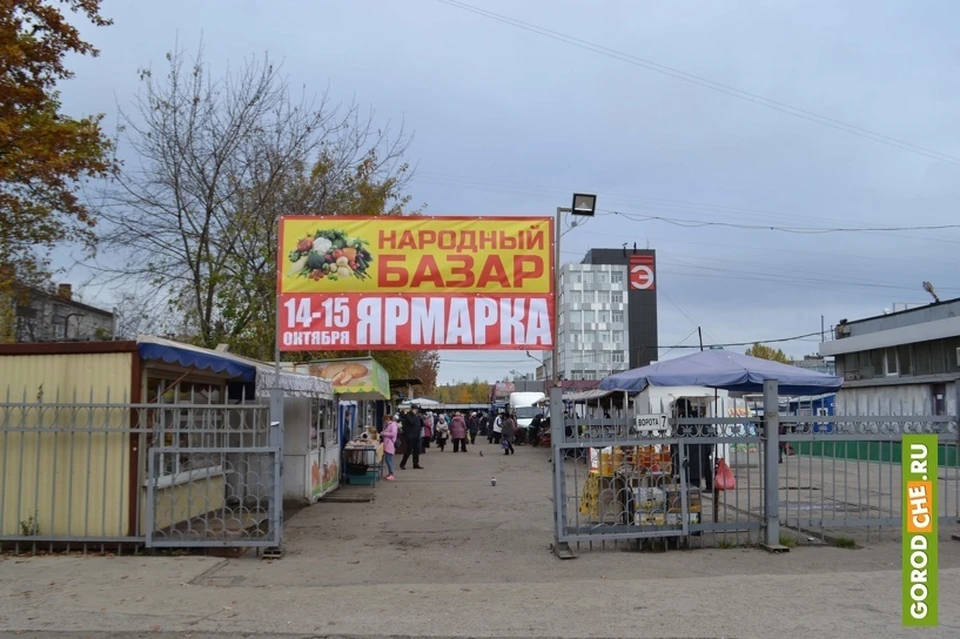 Рынок череповец. Птичий рынок Череповец. Птичий рынок Вологда. Рынок базар Череповец. Городской рынок Череповец.