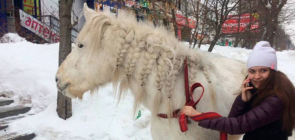 Весту поймала девушка, которая занимается конным спортом. Фото: Иван Кузнецов, vk.com/udmurtiya18rus