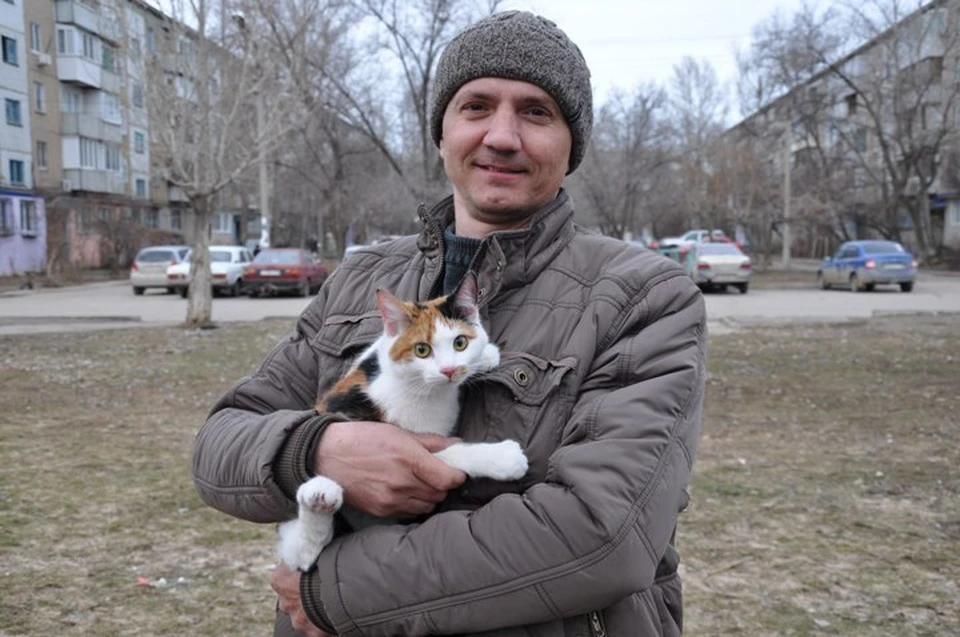 Теперь для спасенной кошки ищут любящих хозяев. Фото героя публикации.