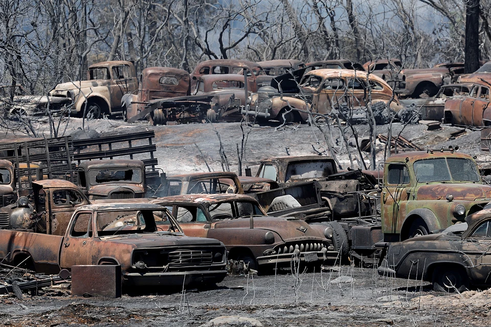 Масштабные лесные пожары охватили американский штат Калифорния. Огонь бушует на территории муниципального парка Бидуэлл. Из близлежащих населенных пунктов эвакуировали свыше 400 человек. Фото: REUTERS