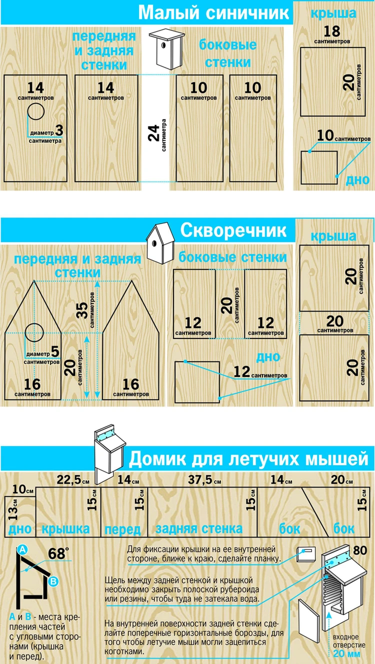 Как привлечь крылатых помощников на дачу? - KP.RU