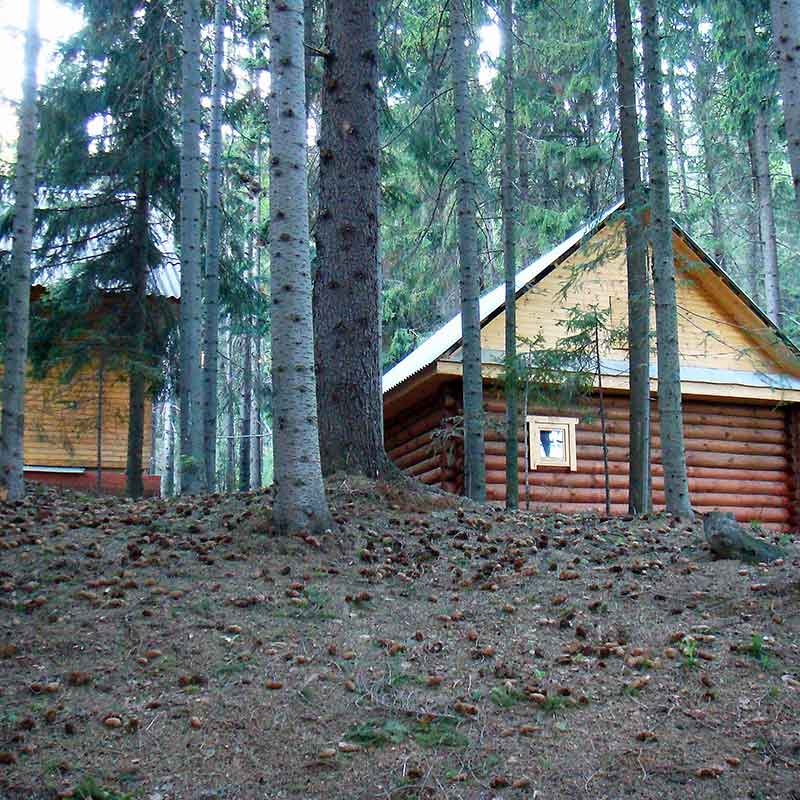 Фото: ryabinushka18.ru