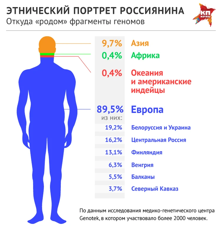 Генетически близкие народы. Портрет среднестатистического россиянина. Этнический портрет россиянина. Среднестатистический россиянин. Средний россиянин.