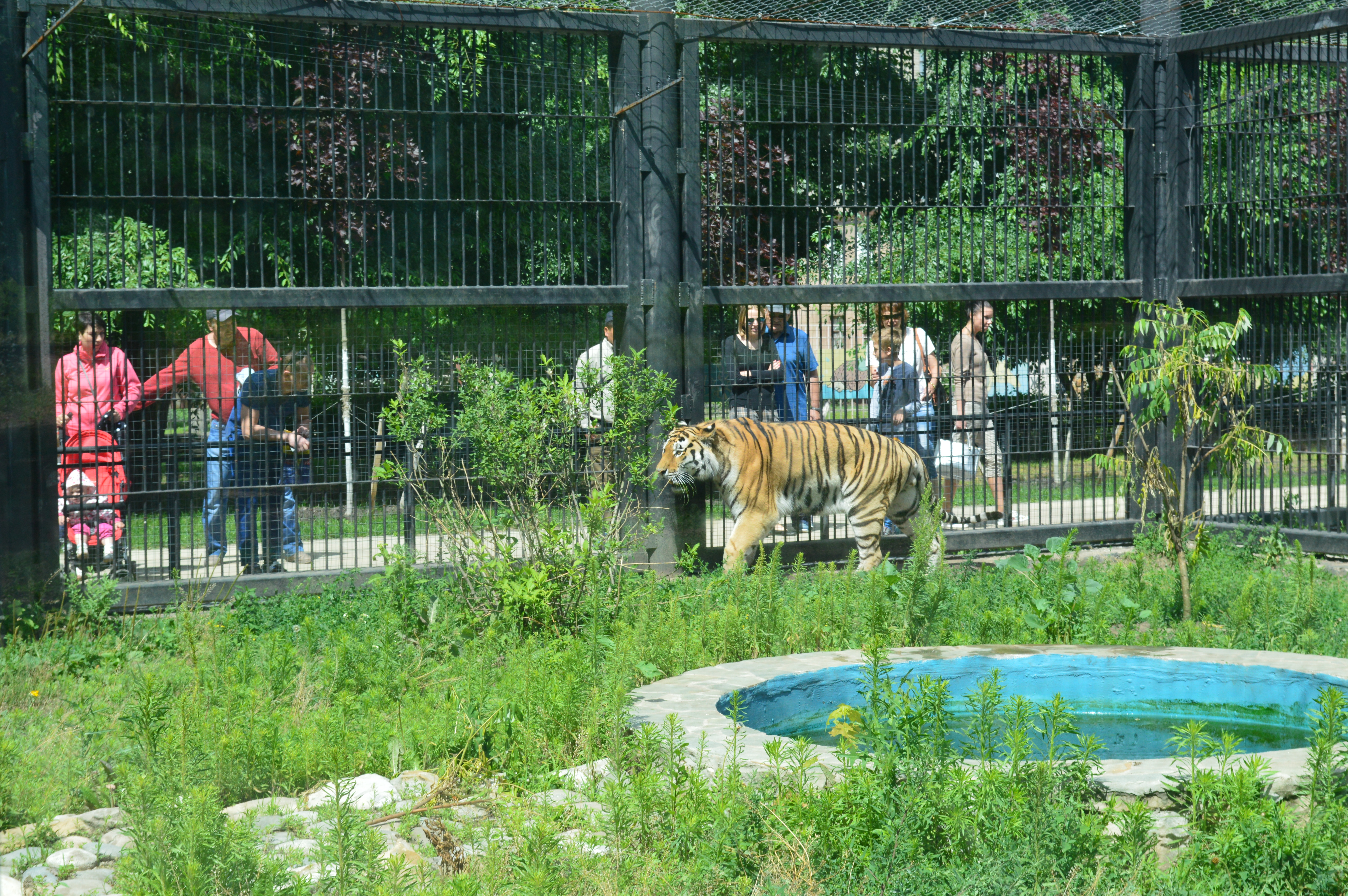 фото: Ольга ФЕДОСОВА