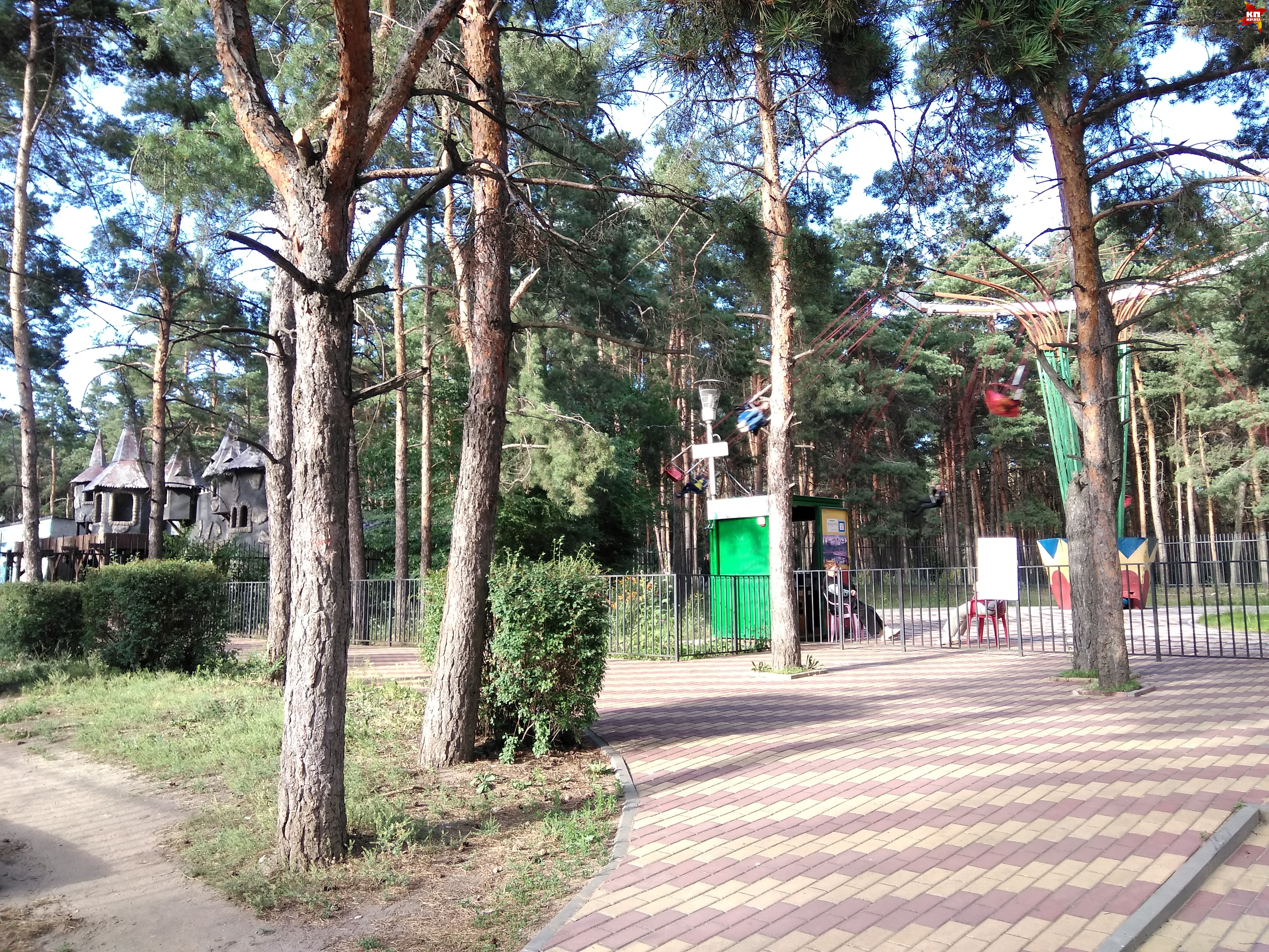 фото: Ольга ФЕДОСОВА