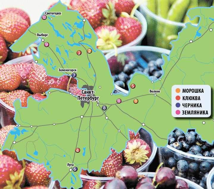 Где запасаться витаминами