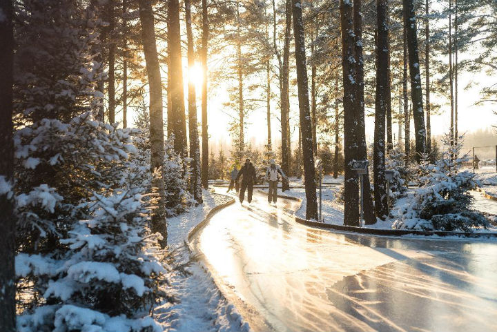 Каток в Охта парке. ФОТО: ohtapark.ru