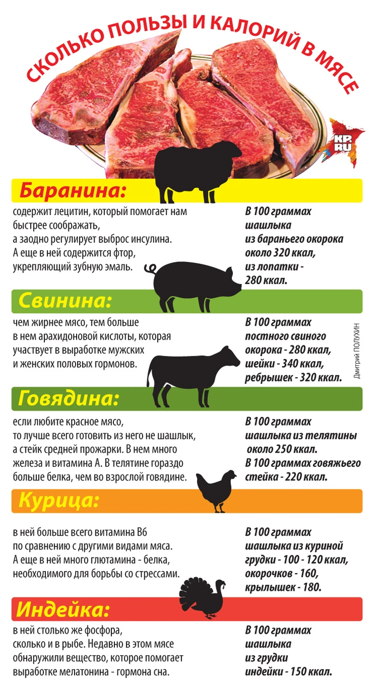 Можно ли беременным, детям и пожилым шашлык? - KP.RU