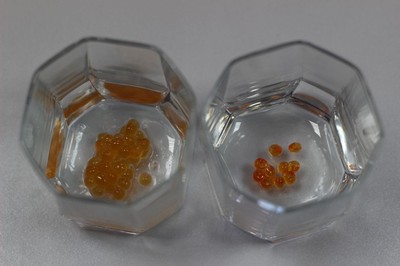 Слева - икра, купленная читательницей 