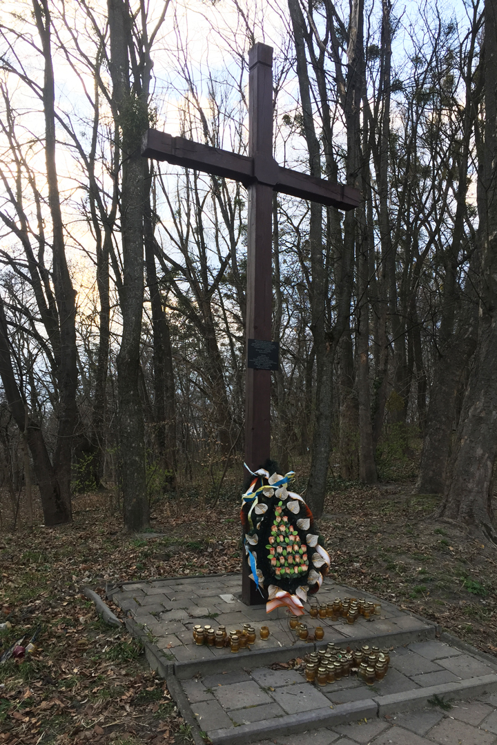 Тот самый памятный крест. Фото: Анастасия МАТВЕЕВА
