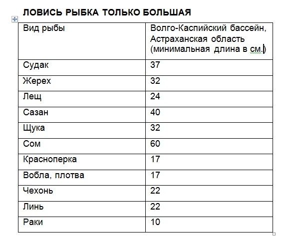 "Карандаши" под запретом.